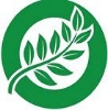 زیبا سلامت ماندگار