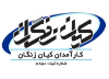 کارآمدان کیان زنگان
