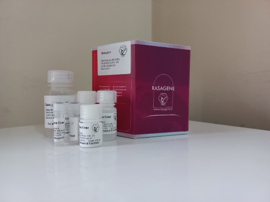 Picture of کیت استخراج DNA از خون 