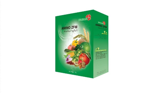 Изображение آمینو ZFM