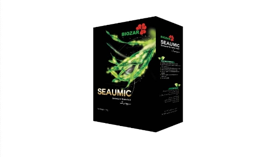 Изображение سیومیک