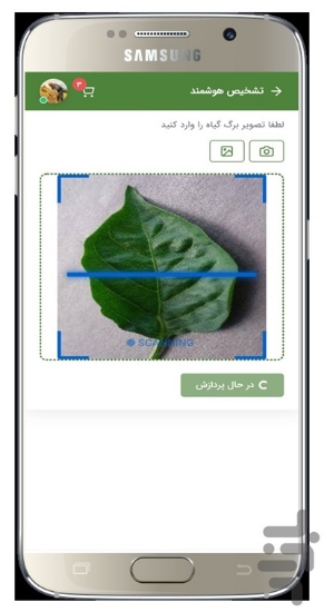 صورة نرم افزار تشخیص هوشمند گیاهان Bio