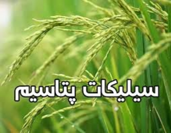 صورة کود سیلیکات پتاسیم 