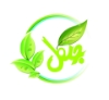 سبز گستر جنگل پارسیان