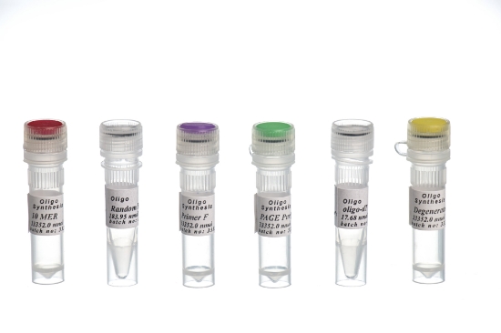 Picture of Purified Primer Synthesise, RP-OPC, OD 2-4, 6-35 Mer, Per Mer سنتز پرایمر