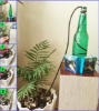 Изображение مینی آب بانک 