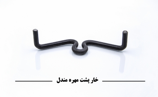图片 خار پشت مهره مندل  
