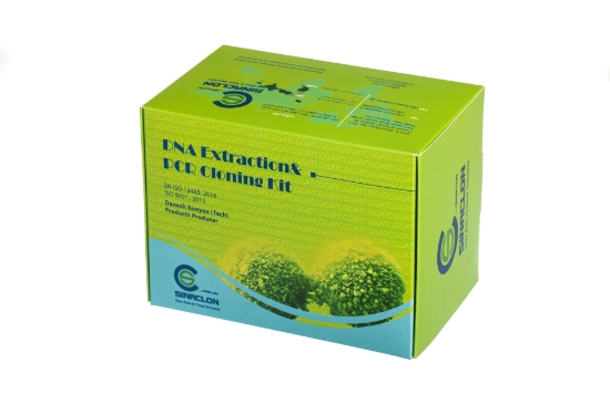 Изображение RSV qPCR Detection Kit-48rxn-PQ3662
