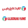 رایان طب پیشگام پارمیس