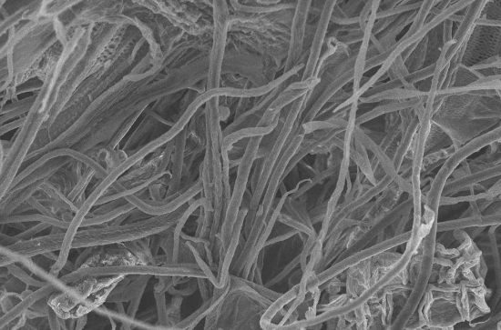 Изображение نانو سلولز (Nano cellulose)