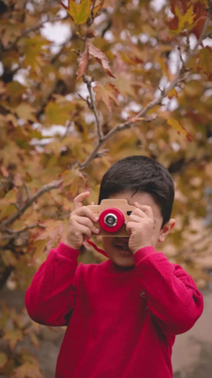 图片 دوربین چوبی