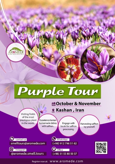 صورة سفر بنفش (Purple tour) - گردشگری تخصصی گیاهان دارویی و معطر با محوریت گیاه زعفران